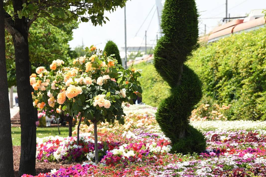 1,8 milyon çiçek, açtı: İşte göz kamaştıran Konya park ve caddeleri 8